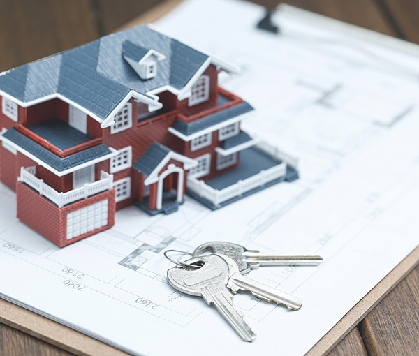 Businessxbridge service PROPERTY DEVELOPMENT